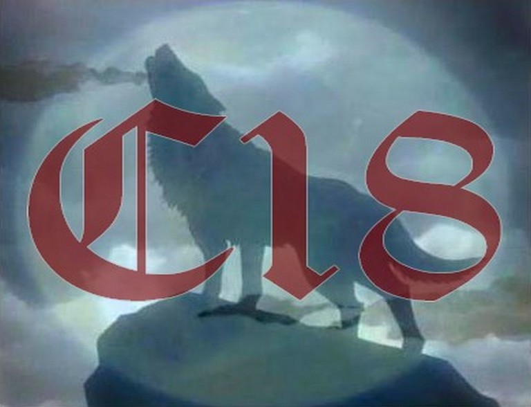 1055452484_CMyDocumentsWolf.jpg